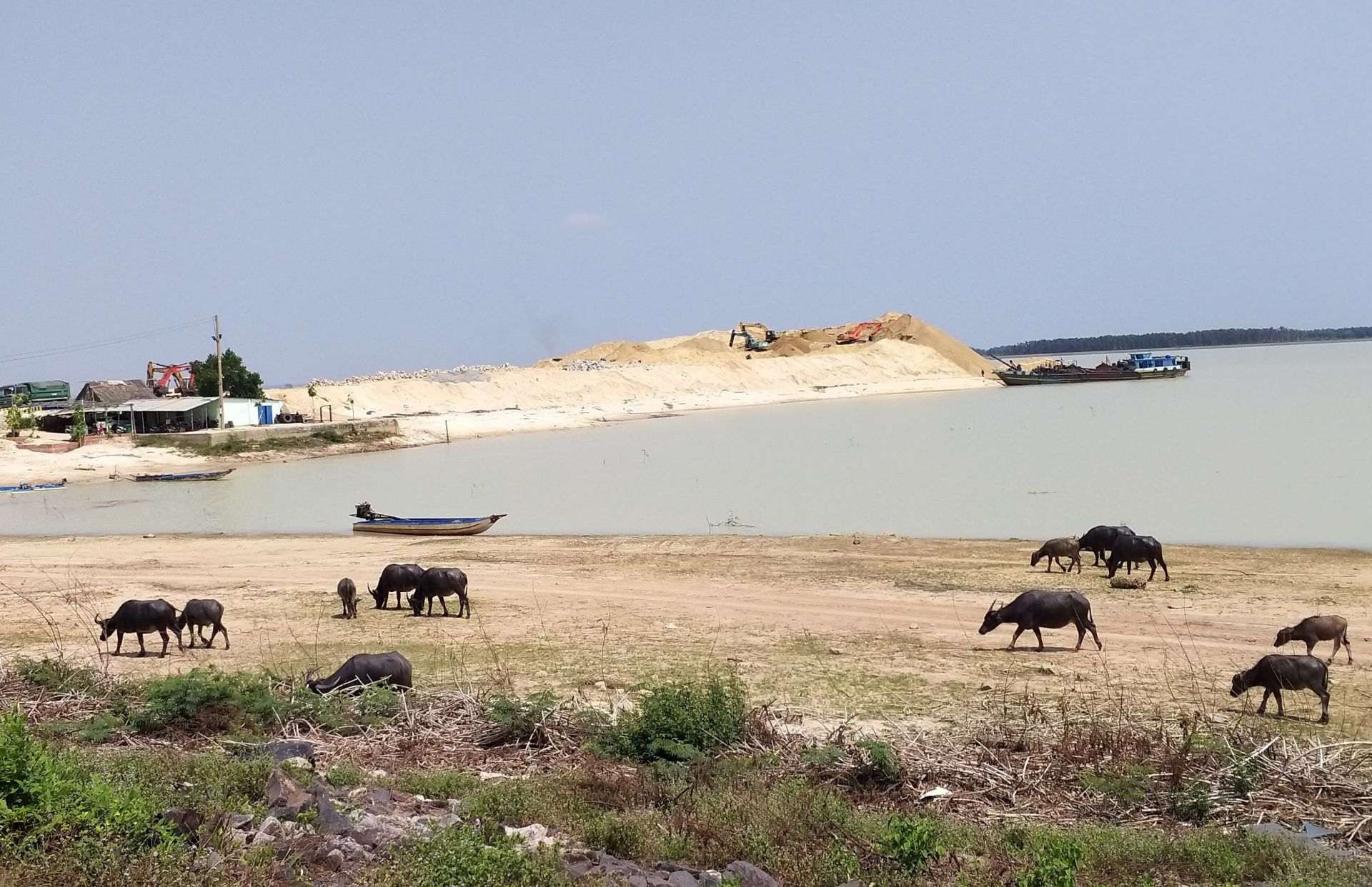 Tạm ngưng hoạt động khai thác cát trong hồ Dầu Tiếng kể từ ngày 20.4